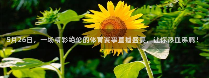 5月26日，一场精彩绝伦的体育赛事直播盛宴，让你热血沸腾！