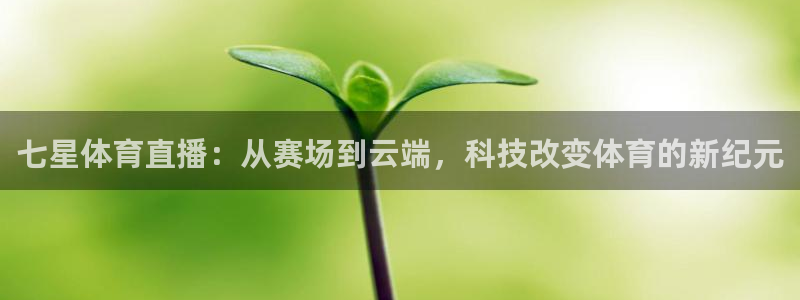 七星体育直播：从赛场到云端，科技改变体育的新纪元