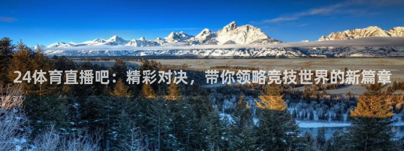 24体育直播吧：精彩对决，带你领略竞技世界的新篇章