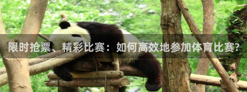 限时抢票、精彩比赛：如何高效地参加体育比赛?