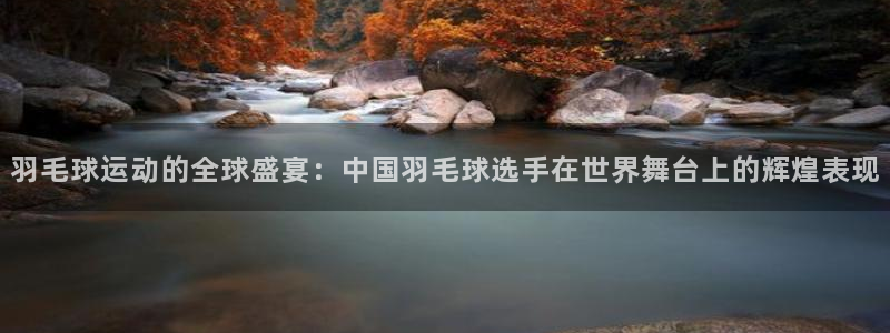 羽毛球运动的全球盛宴：中国羽毛球选手在世界舞台上的辉煌表现