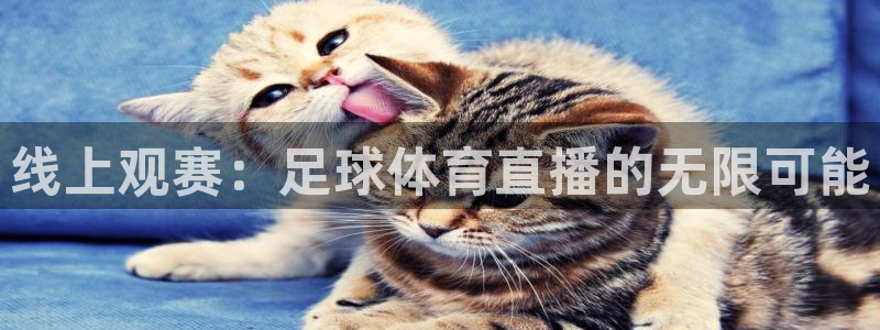 线上观赛：足球体育直播的无限可能