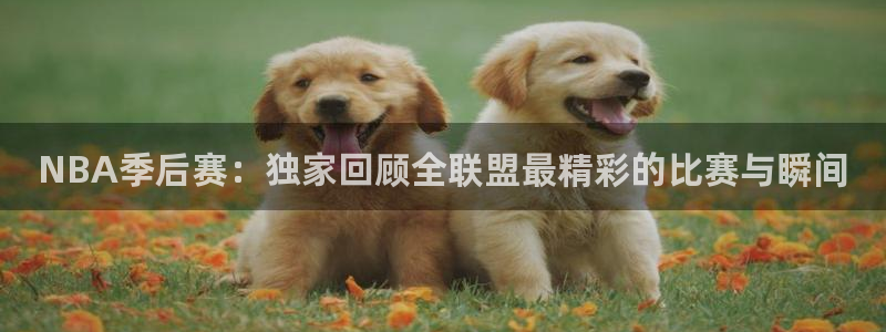 NBA季后赛：独家回顾全联盟最精彩的比赛与瞬间
