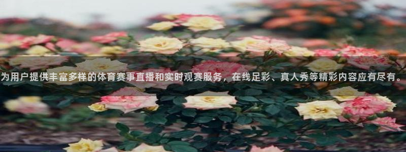 为用户提供丰富多样的体育赛事直播和实时观赛服务，在线足彩、真人秀等精彩内容应有尽有。