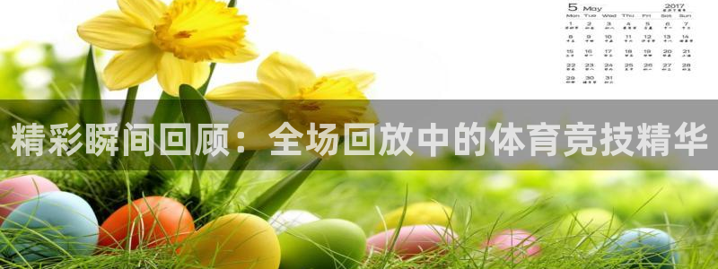 精彩瞬间回顾：全场回放中的体育竞技精华