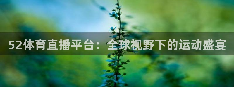 52体育直播平台：全球视野下的运动盛宴