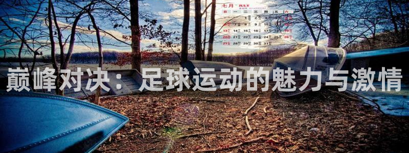 巅峰对决：足球运动的魅力与激情