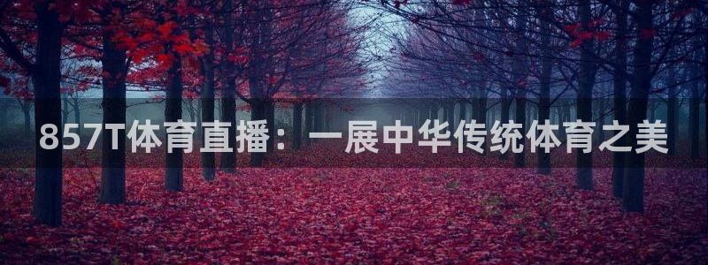 857T体育直播：一展中华传统体育之美