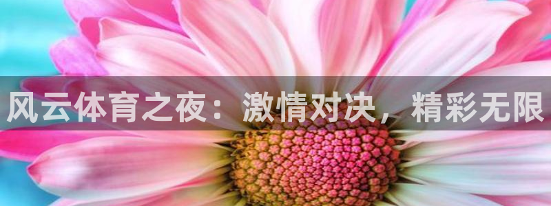 风云体育之夜：激情对决，精彩无限