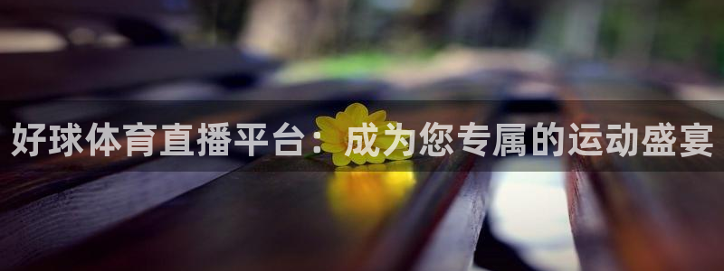 好球体育直播平台：成为您专属的运动盛宴