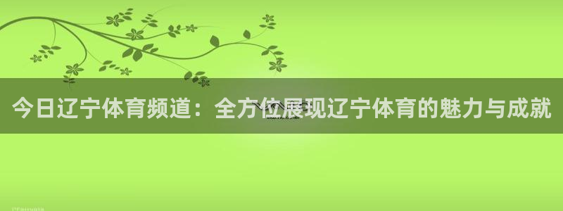 今日辽宁体育频道：全方位展现辽宁体育的魅力与成就