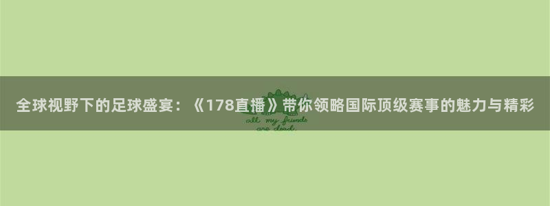 全球视野下的足球盛宴：《178直播》带你领略国际顶级赛事的魅力与精彩