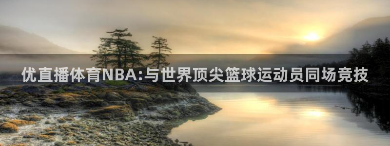 优直播体育NBA:与世界顶尖篮球运动员同场竞技
