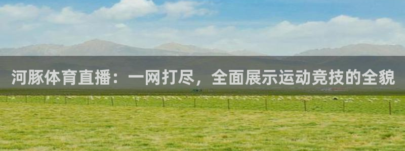 河豚体育直播：一网打尽，全面展示运动竞技的全貌