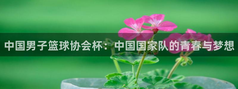 中国男子篮球协会杯：中国国家队的青春与梦想