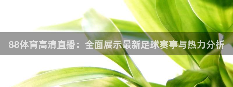 88体育高清直播：全面展示最新足球赛事与热力分析