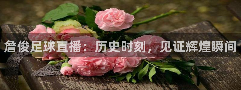 詹俊足球直播：历史时刻，见证辉煌瞬间