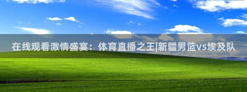 在线观看激情盛宴：体育直播之王|新疆男篮vs埃及队