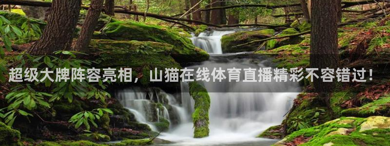 超级大牌阵容亮相，山猫在线体育直播精彩不容错过！