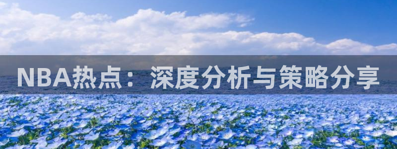 NBA热点：深度分析与策略分享