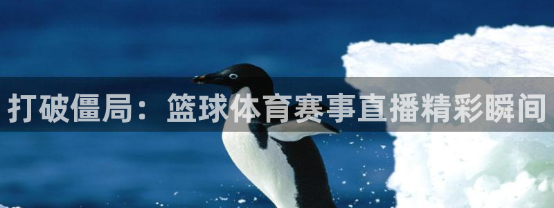 打破僵局：篮球体育赛事直播精彩瞬间