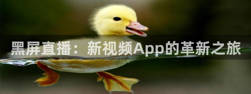 黑屏直播：新视频App的革新之旅