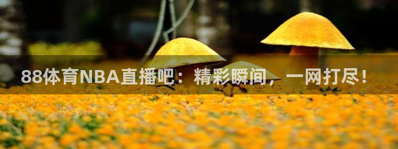 88体育NBA直播吧：精彩瞬间，一网打尽！