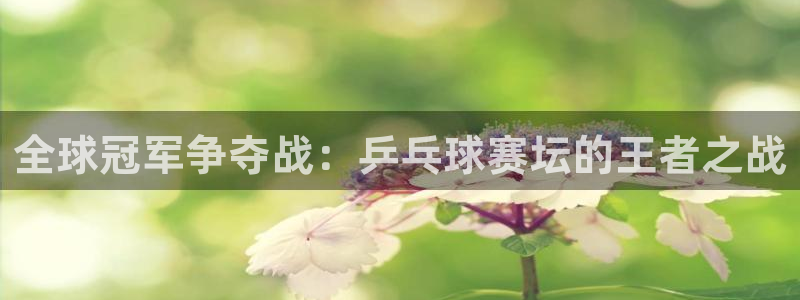 全球冠军争夺战：乒乓球赛坛的王者之战