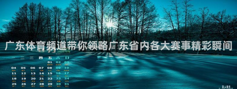 广东体育频道带你领略广东省内各大赛事精彩瞬间