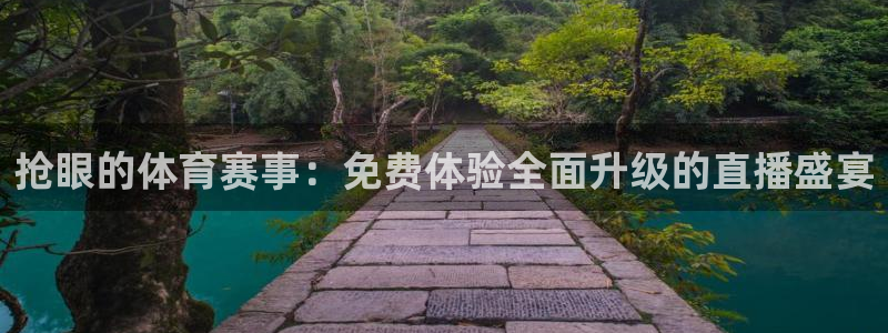 抢眼的体育赛事：免费体验全面升级的直播盛宴