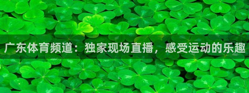 广东体育频道：独家现场直播，感受运动的乐趣