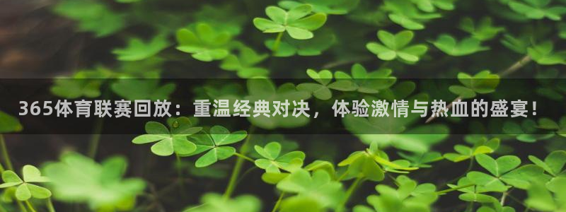 365体育联赛回放：重温经典对决，体验激情与热血的盛宴！