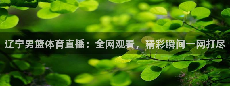 辽宁男篮体育直播：全网观看，精彩瞬间一网打尽