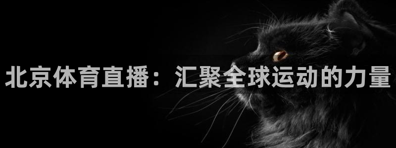 北京体育直播：汇聚全球运动的力量