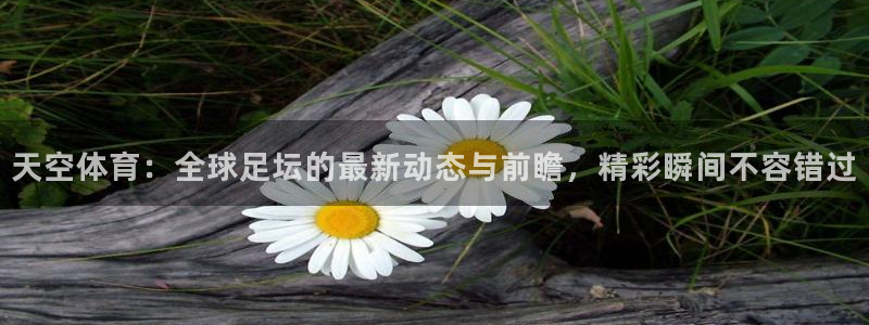 天空体育：全球足坛的最新动态与前瞻，精彩瞬间不容错过