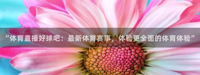 “体育直播好球吧：最新体育赛事，体验更全面的体育体验”