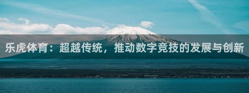 乐虎体育：超越传统，推动数字竞技的发展与创新