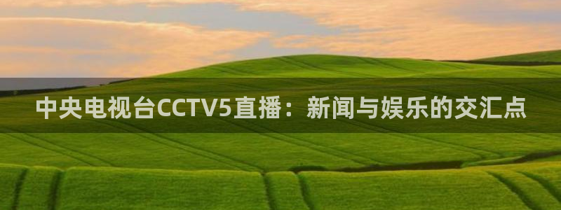 中央电视台CCTV5直播：新闻与娱乐的交汇点